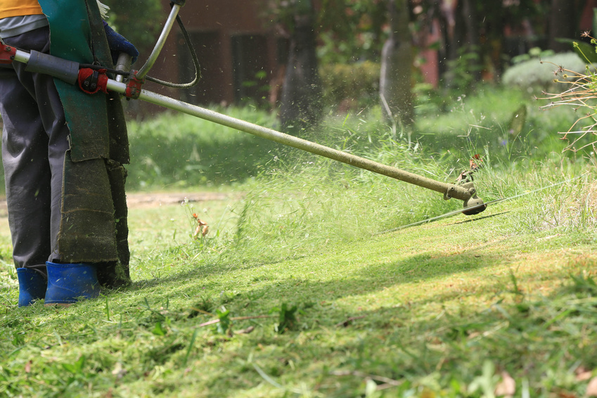 lawn mower worker cutting grass in green field